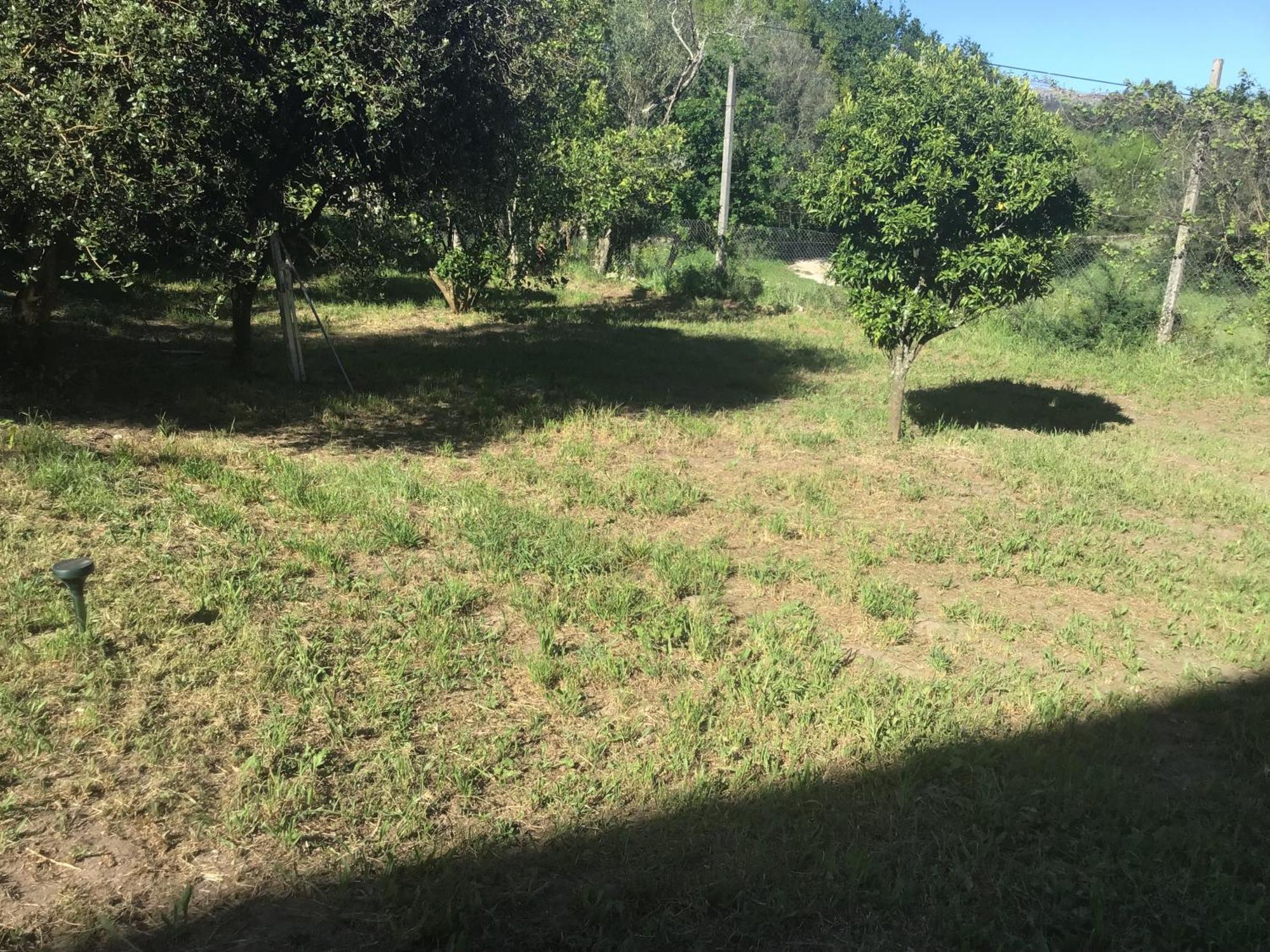Quinta Dos Trilhos Βίλα Fafe Εξωτερικό φωτογραφία