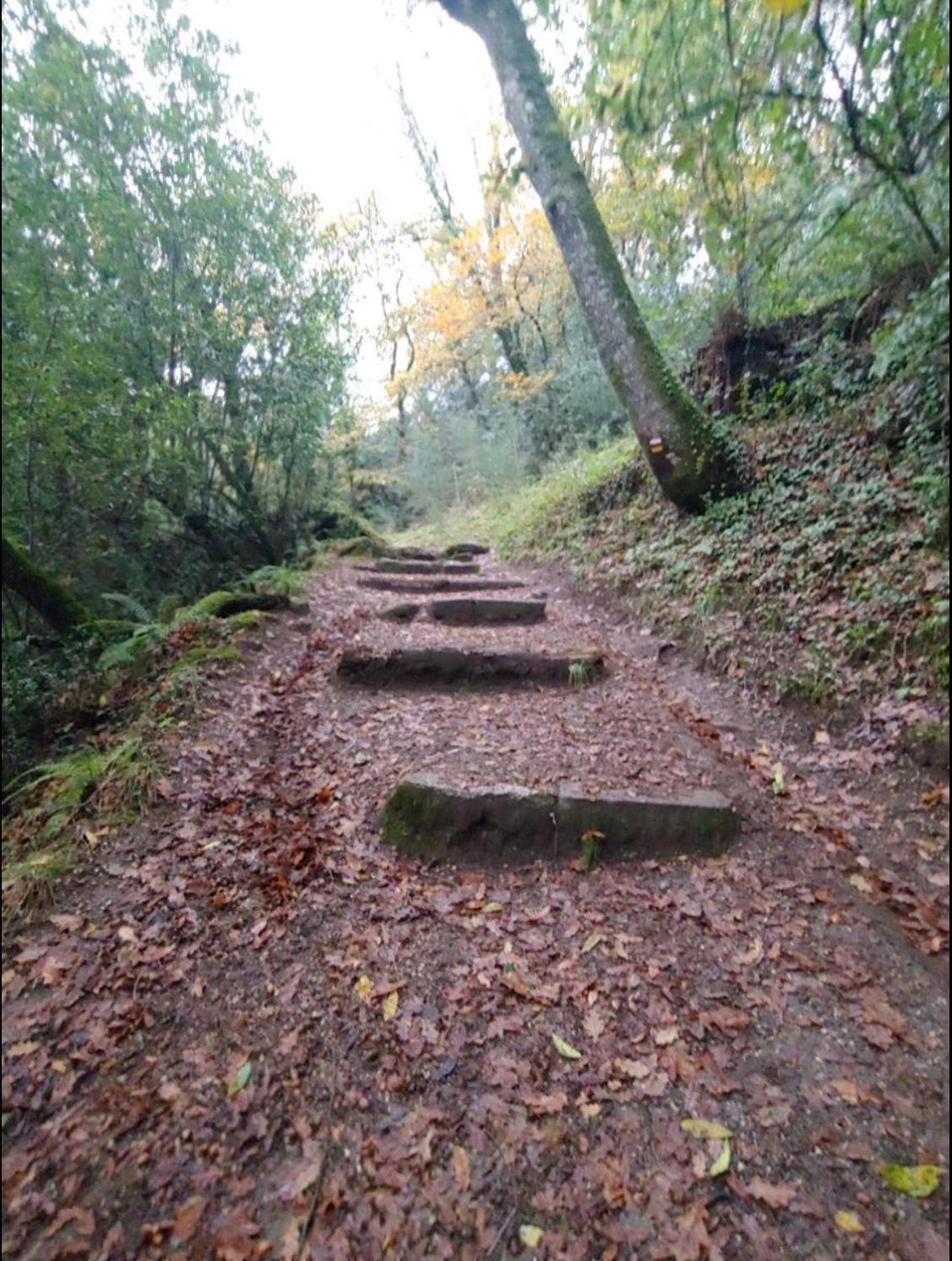 Quinta Dos Trilhos Βίλα Fafe Εξωτερικό φωτογραφία